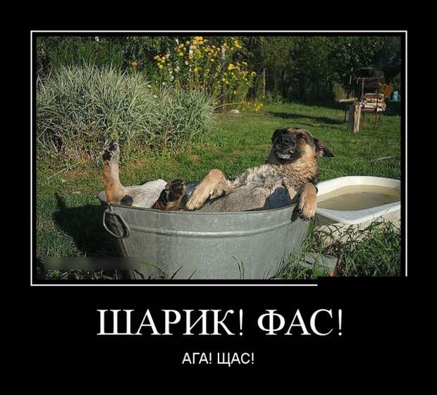 Демотиваторы (30 фото)