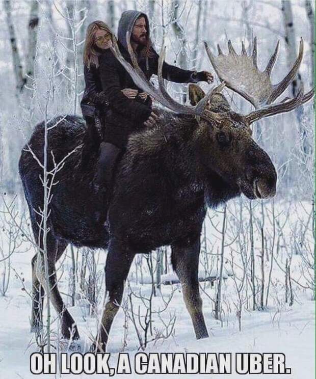 Тем временем в Канаде...