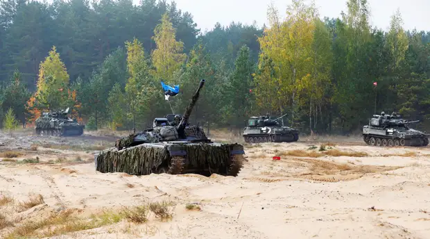 «Привлечь внимание любой ценой»: зачем в Балтии призывают к расширению сотрудничества с США и НАТО