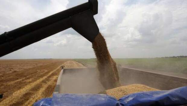 Украина вывозит зерно в Европу, оставаясь ни с чем | Русская весна