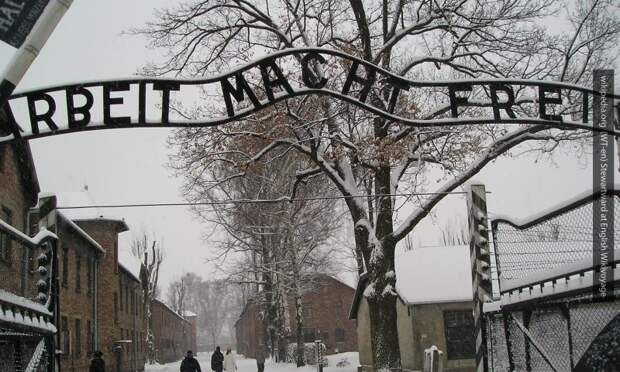 Россию пригласили в Польшу по случаю годовщины освобождения концлагеря в Освенциме
