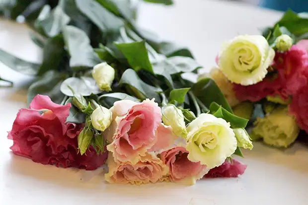 Счастье — видеть пациента здоровым