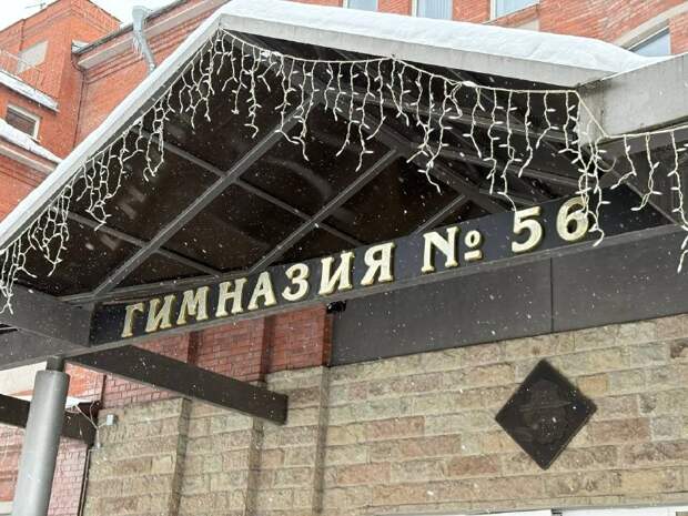 В Петербурге силовики задержали пытавшуюся прорваться в гимназию №56 незнакомку