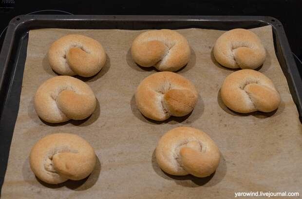 DSC_4234.jpg DSC_4234.jpg