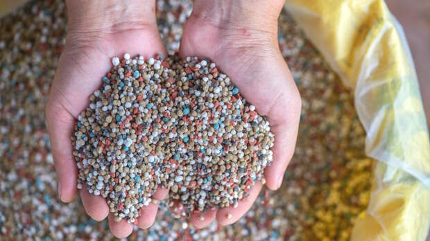 Новые пошлины ЕС на удобрения из России: импорт может снизиться на 25%