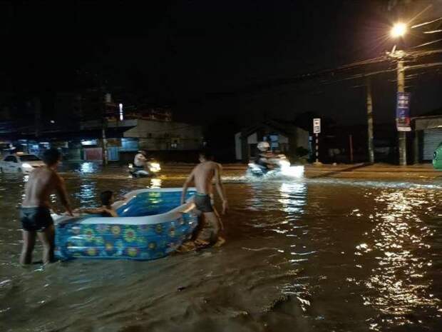 Подборка картинок дня
