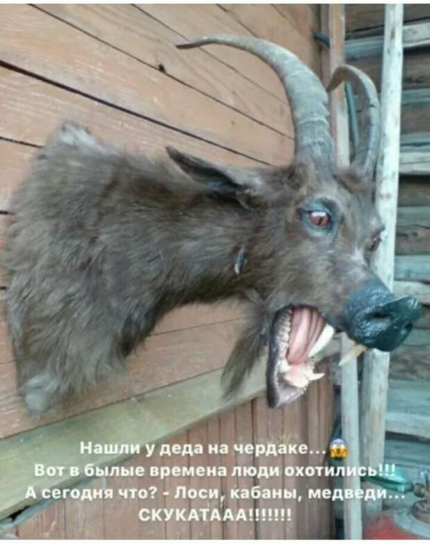 Вот в былые времена люди охотились Вот в былые времена люди охотились