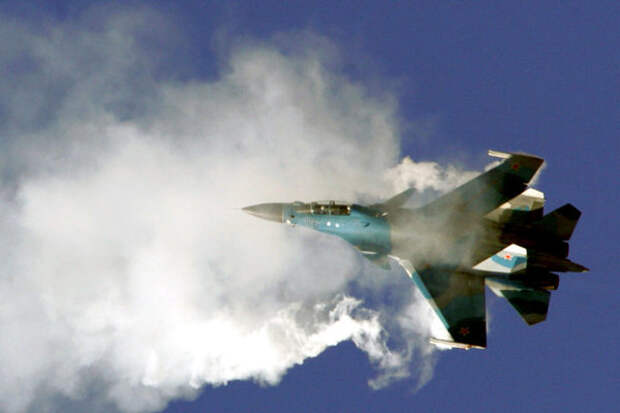 Майор ВВС усомнился в «птичьей» причине крушения Су-30СМ в Сирии