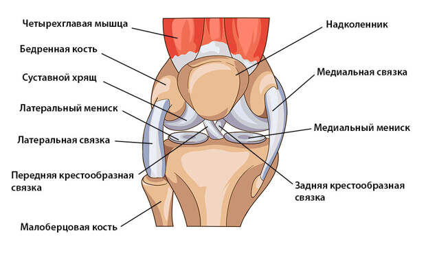 Как укрепить колено?