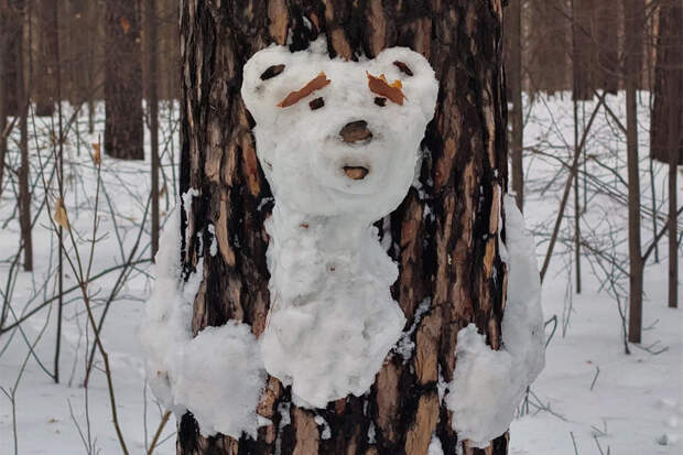 Прогноз погоды на 24-27 марта в Новосибирске сделали синоптики