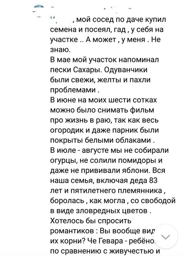 Одуванчики пахнут проблемами Одуванчики пахнут проблемами