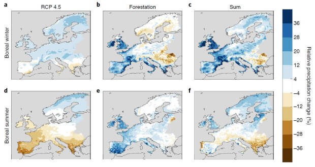 Озеленение неорошаемых земель назвали эффективной мерой борьбы с засухами в Европе