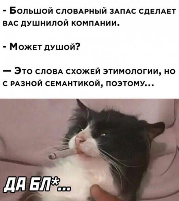 Весёлые