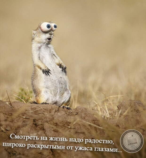Глаза