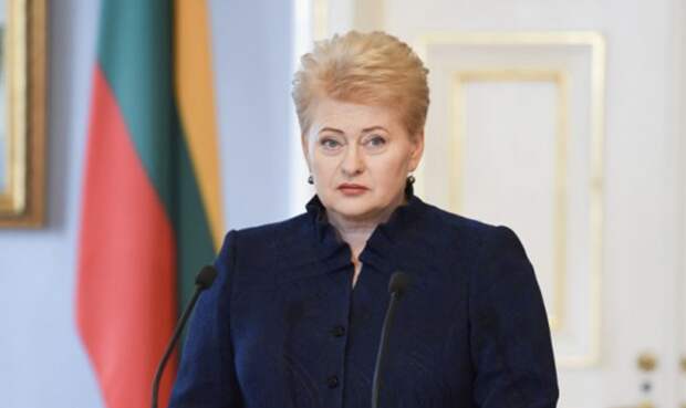 Решение Грибаускайте в отношении Путина после выборов вызвало возмущение в Литве: «Это ошибка» Евродепутат раскритиковал Грибаускайте за отказ поздравить Путина