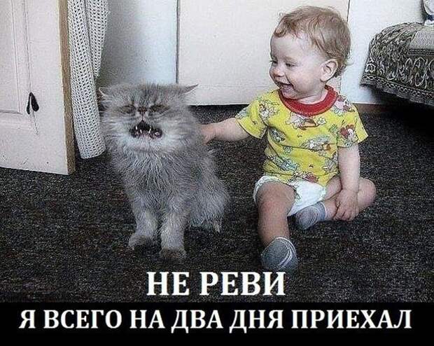 Не реви Не реви