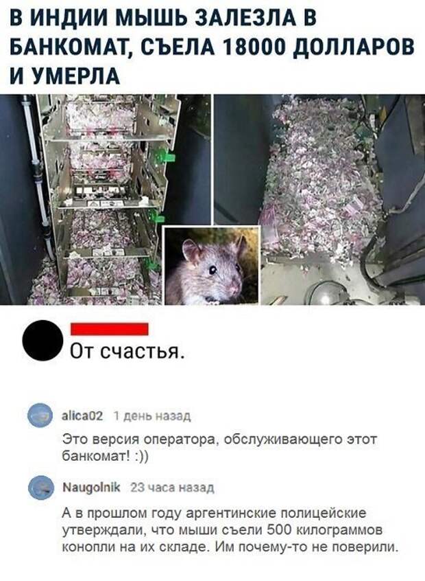 Прикольные и смешные картинки