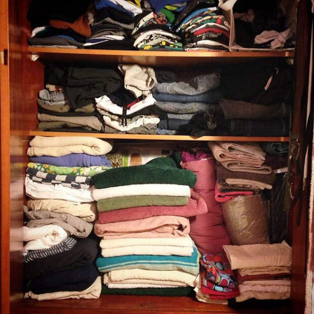 find-hidden-cat-camouflage-hide-and-seek-catouflage-158