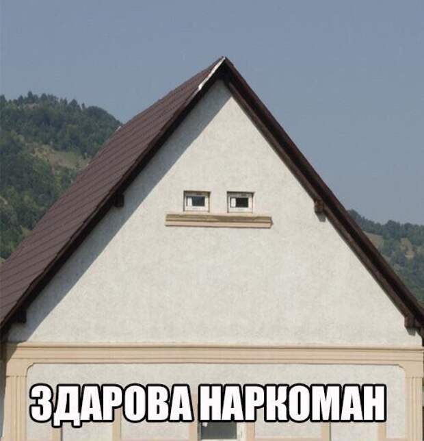 Смешные картинки с надписями прикол, юмор