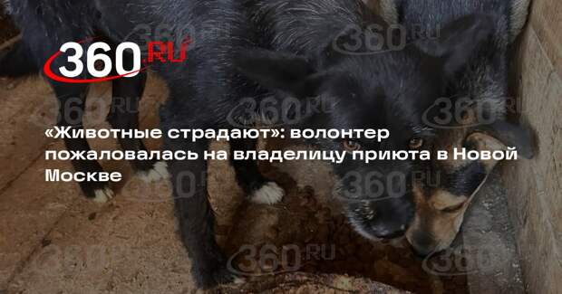 Волонтер обвинила владелицу зооприюта в Новой Москве в жестоком обращении