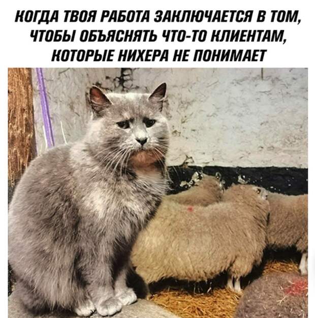Работа