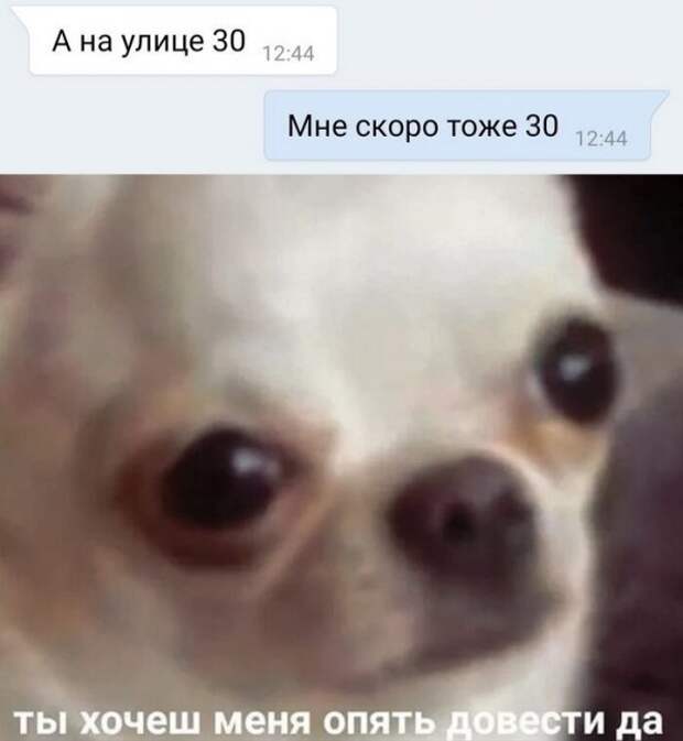 Скрины из социальных сетей