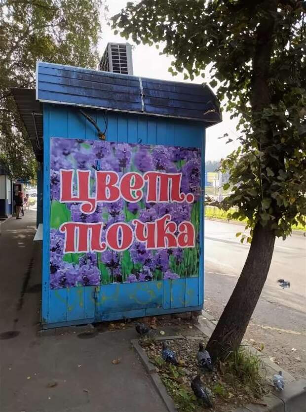 Прикольные вывески. Подборка chert-poberi-vv-chert-poberi-vv-11511211092020-11 картинка chert-poberi-vv-11511211092020-11