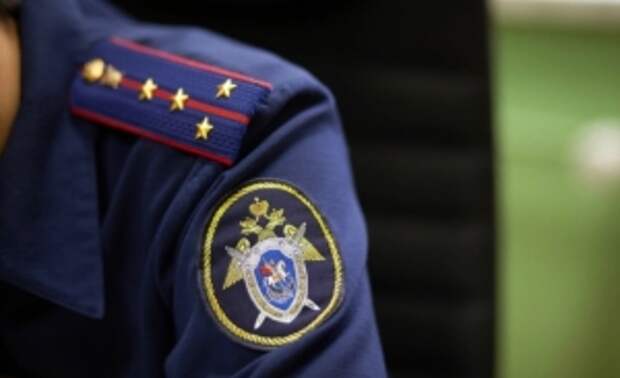 Глава ведомства затребовал доклад о ходе расследования уголовного дела по факту нападения подростков на супружескую пару в Кемеровской области