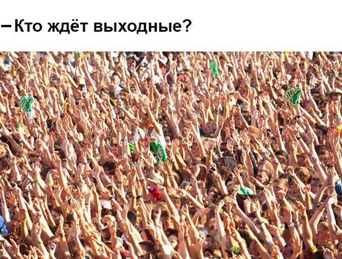 Паранормальных пикч