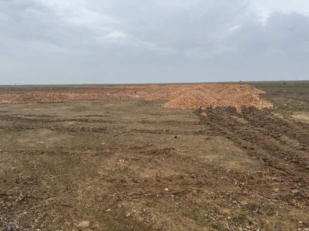 Свалку лука обнаружили на севере Астраханской области