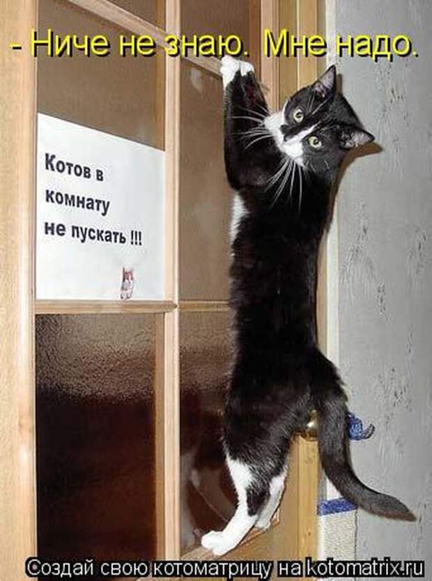 Мысли вслух :)