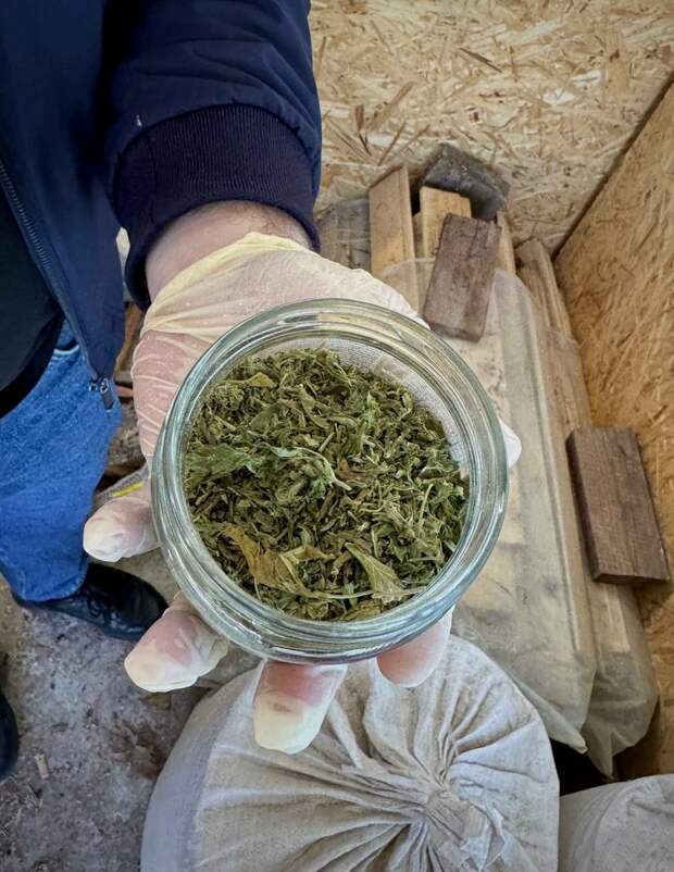 В Алуште полицейские нашли у местного жителя 18,8 грамм марихуаны
