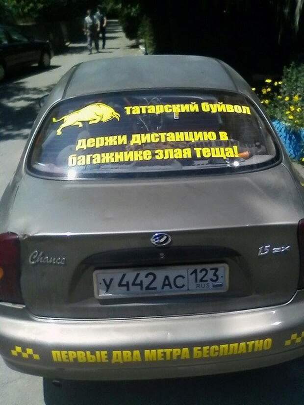 Автовсячина