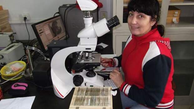 Охота на профессора: Учёного с мировыми достижениями втоптали в грязь