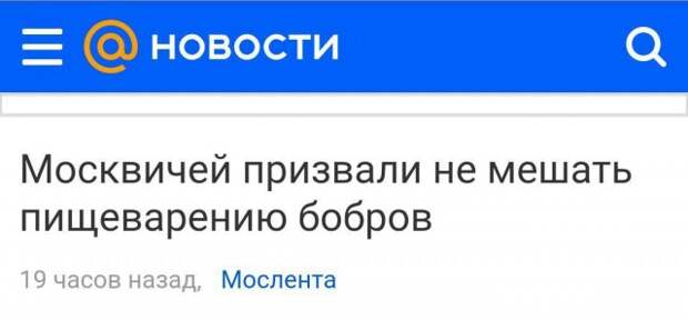 www.vsyako.net