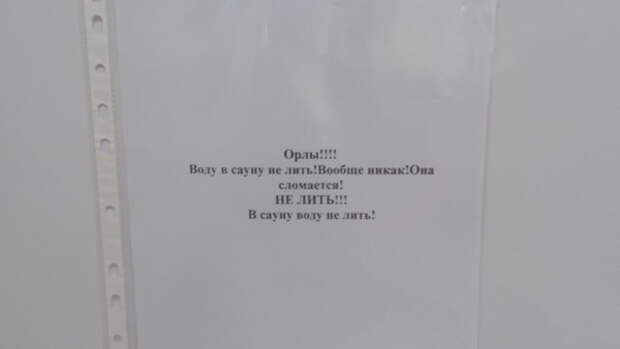 Орлы плохо понимают человеческую речь люди, объявление, прикол, юмор