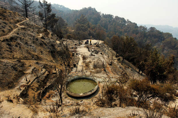 Сгорело дотла