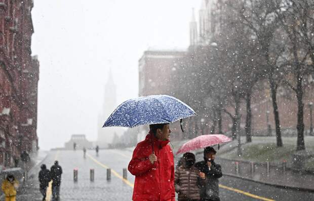 Синоптик оценил вероятность выпадения снега в Москве весной