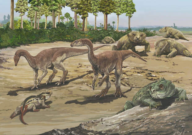 Bagualosaurus agudoensis