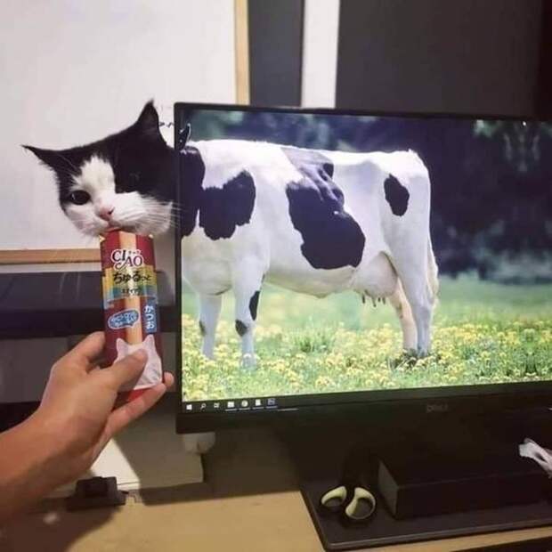 Снимки, на которые стоит посмотреть дважды