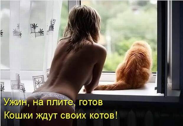 Забавные картинки с надписью со смыслом Забавные картинки с надписью со смыслом