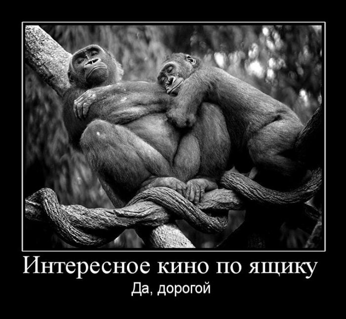 Демотиваторы