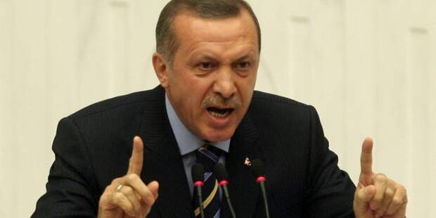Эрдоган: Турция вошла в Сирию только для того, чтобы покончить с “тираном Асадом