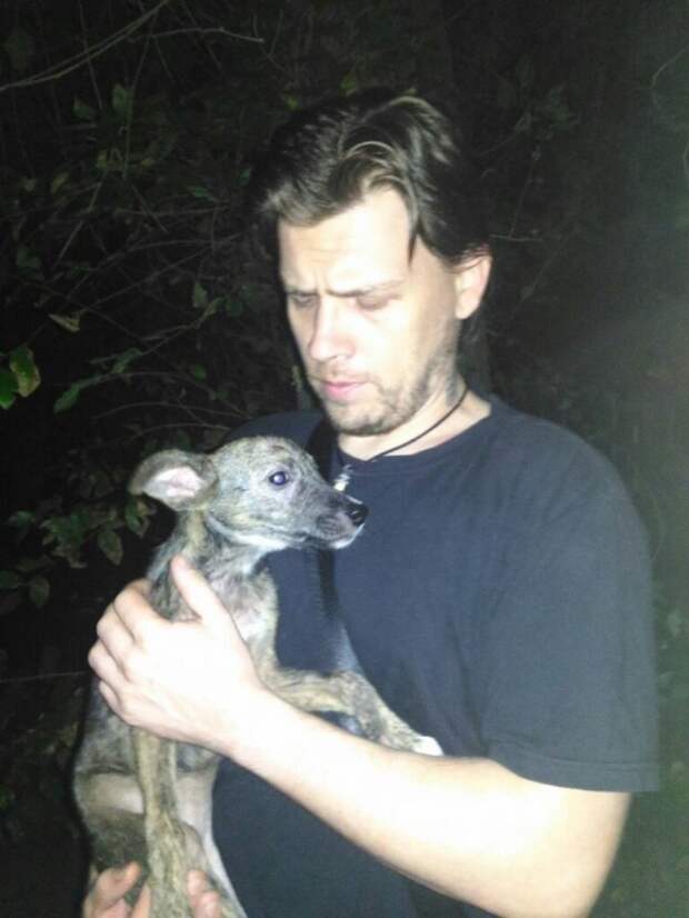 Мужчина в Ростове спас собаку от участи шашлыка