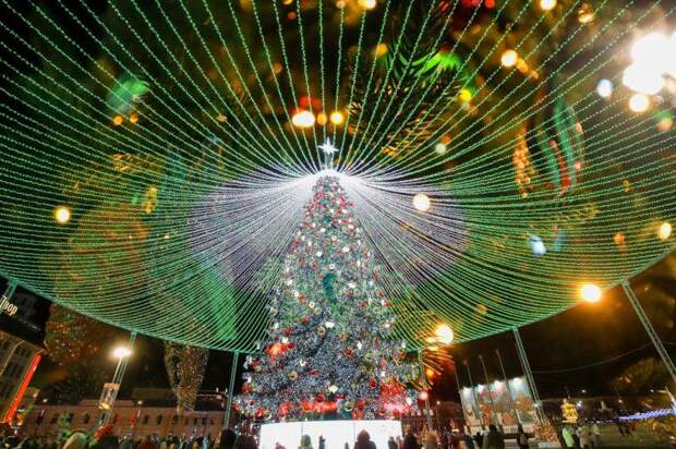 Елка на площади Ленина в Туле будет стоять до 1 марта