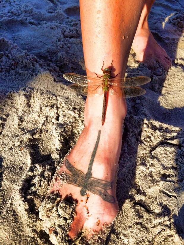 20 фото, снятых в нужный момент, которые заставят вас приглядеться