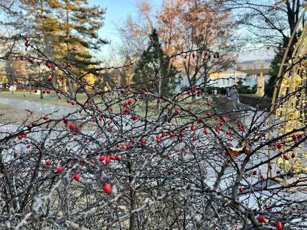 Завтра в Астраханской области обещают до +21 градуса