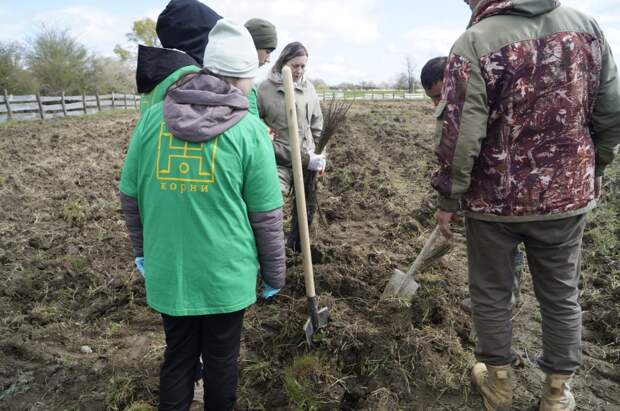 В Красногвардейском лесничестве высадили саженцы дуба в рамках акции "Сад памяти"