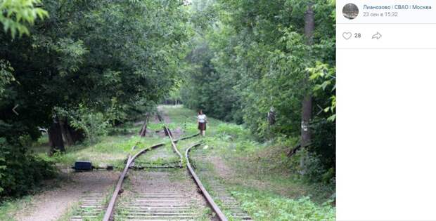 Фото дня: заброшенные пути близ Псковской