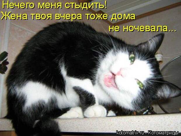 Мысли вслух :)